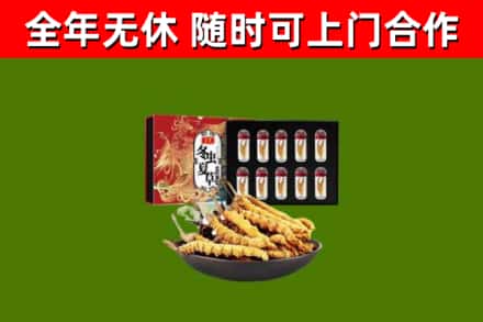 彭山区回收冬虫夏草价格